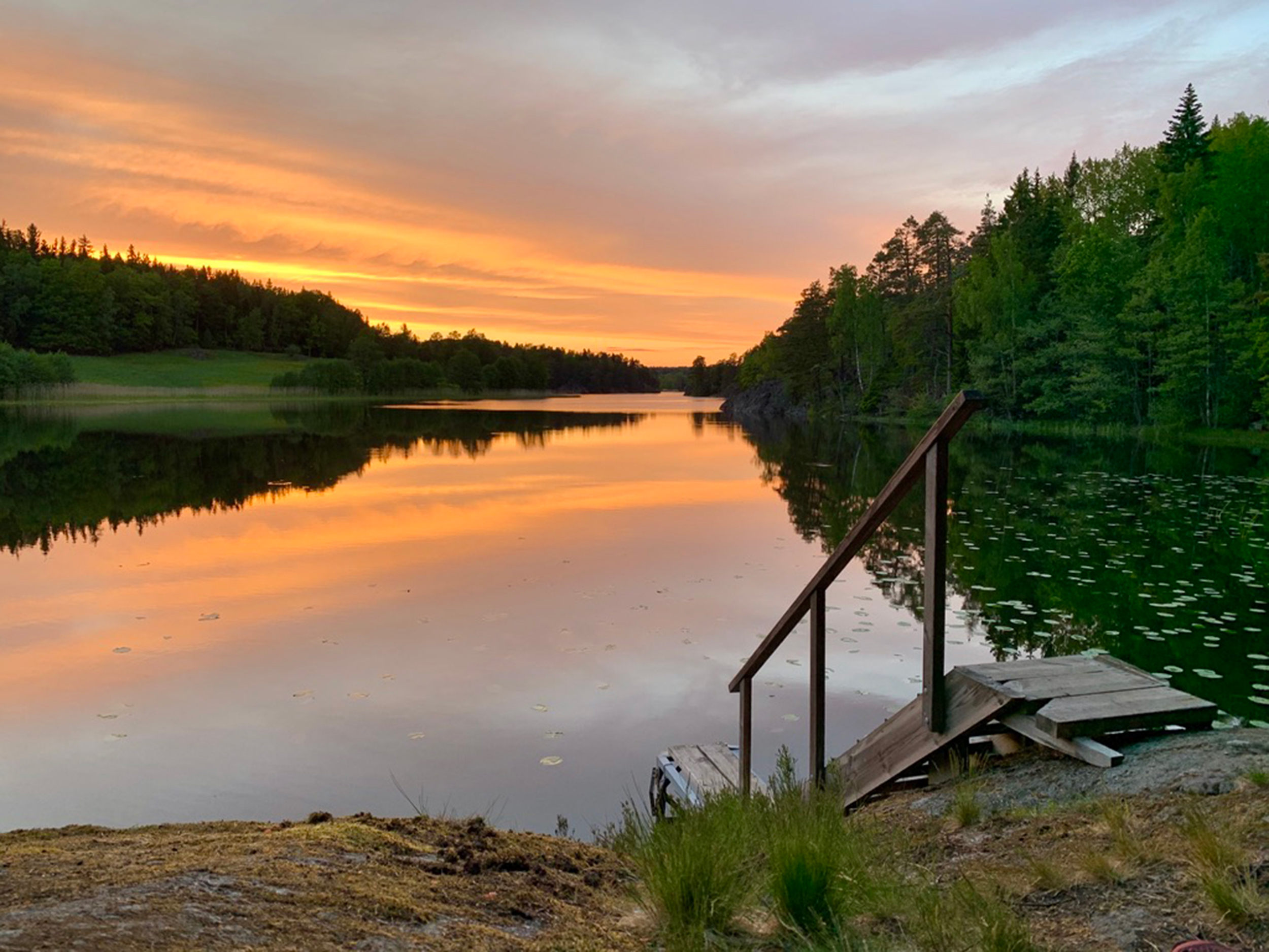Stockholm: Sunset Hike in Tyresta National Park with Meal – Stockholm, Sweden