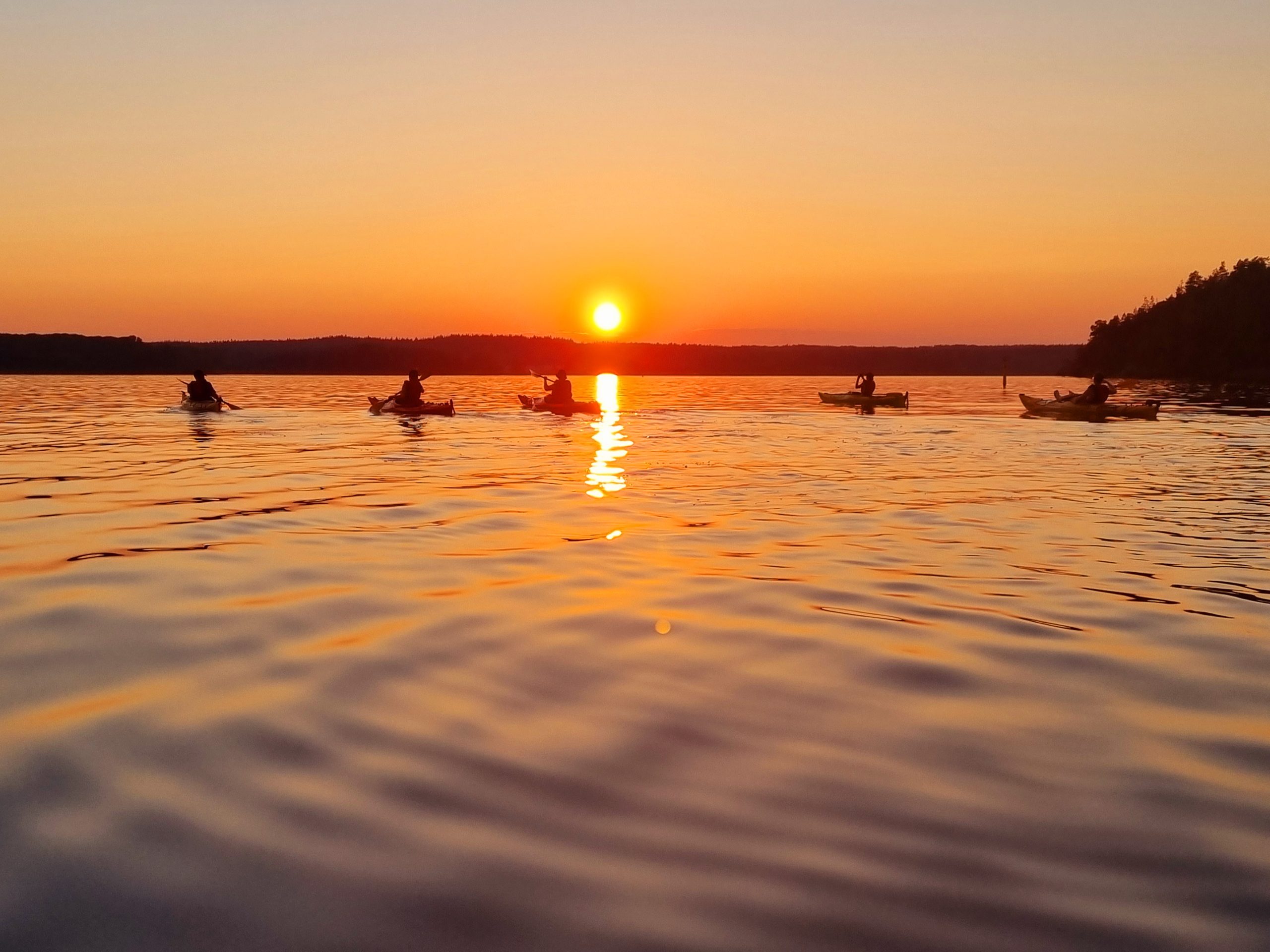 Stockholm: Sunset Kayak Tour on Lake Mälaren with Tea & Cake – Enköping, Sweden