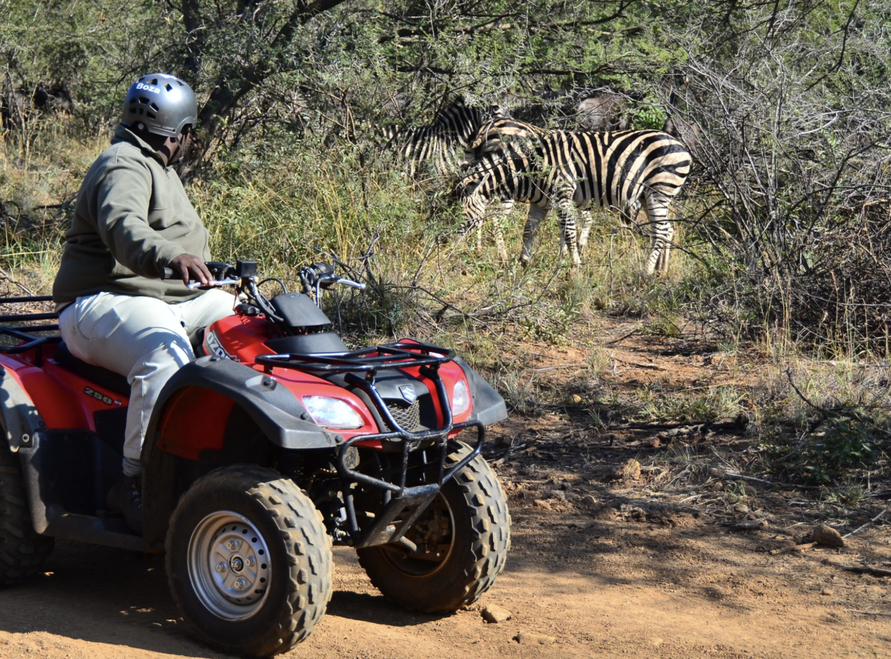 Sun City: Letsatsing Game Park Nature Trail Quad Bike Tour – Sun City, South Africa
