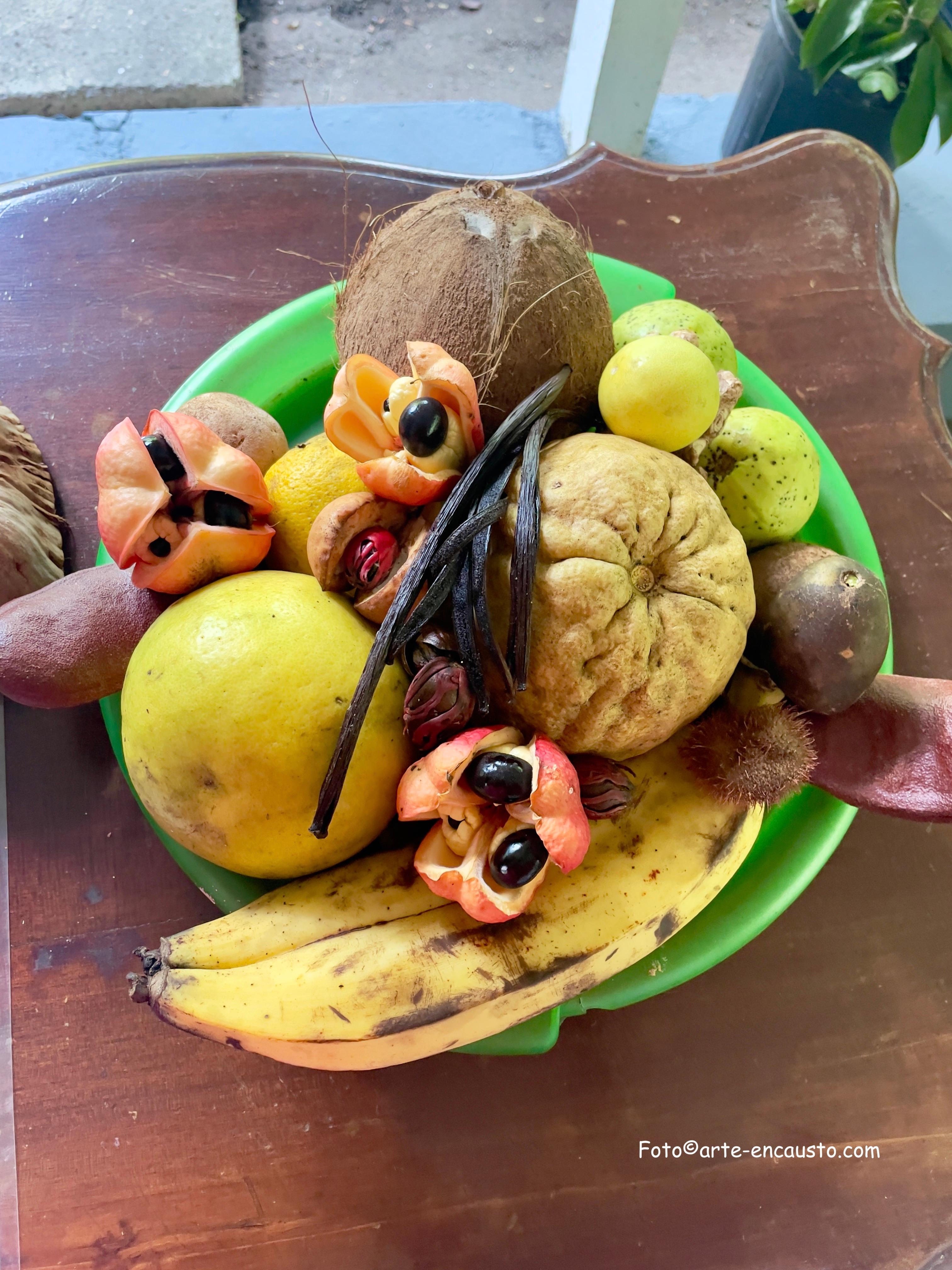 Sun Valley Plantation: Tropical paradise garden with hummingbirds – Sun Valley Plantation Hummingbird Garden, Jamaica