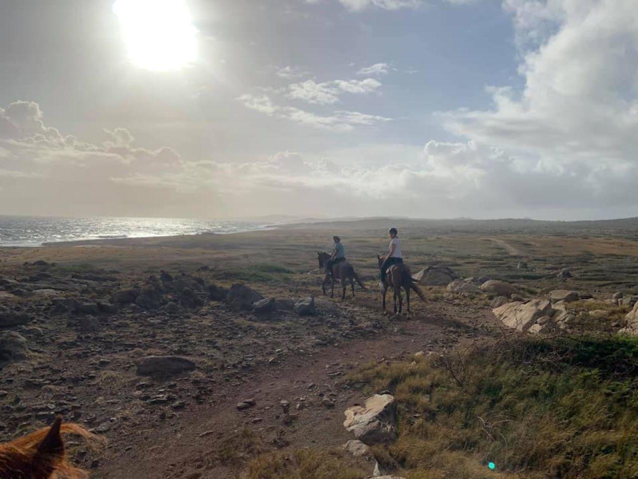Sunset Horseback ride 1 1/2 hours – Aruba
