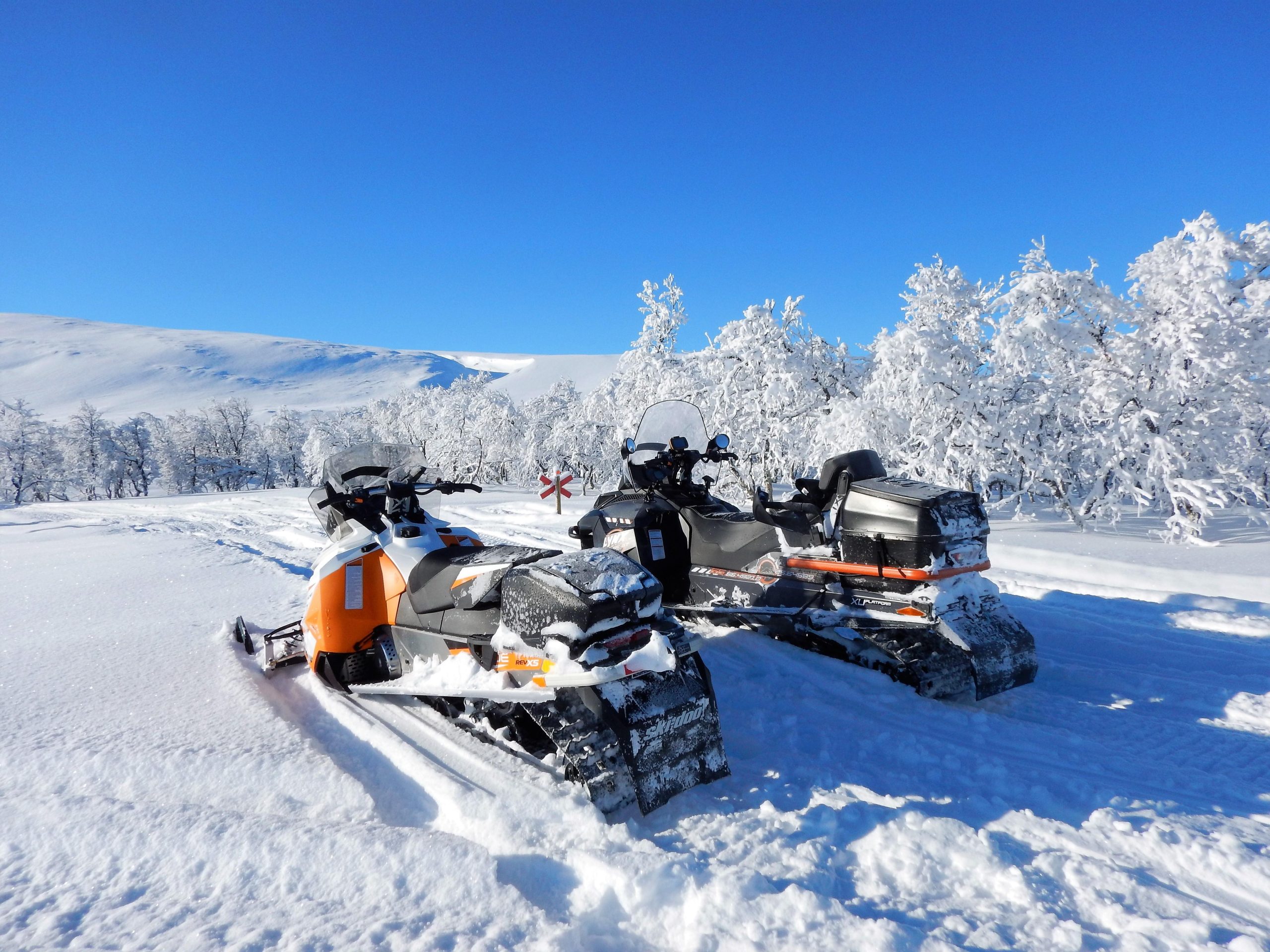Swedish Lapland: Snowmobile safari – Sorsele, Sweden