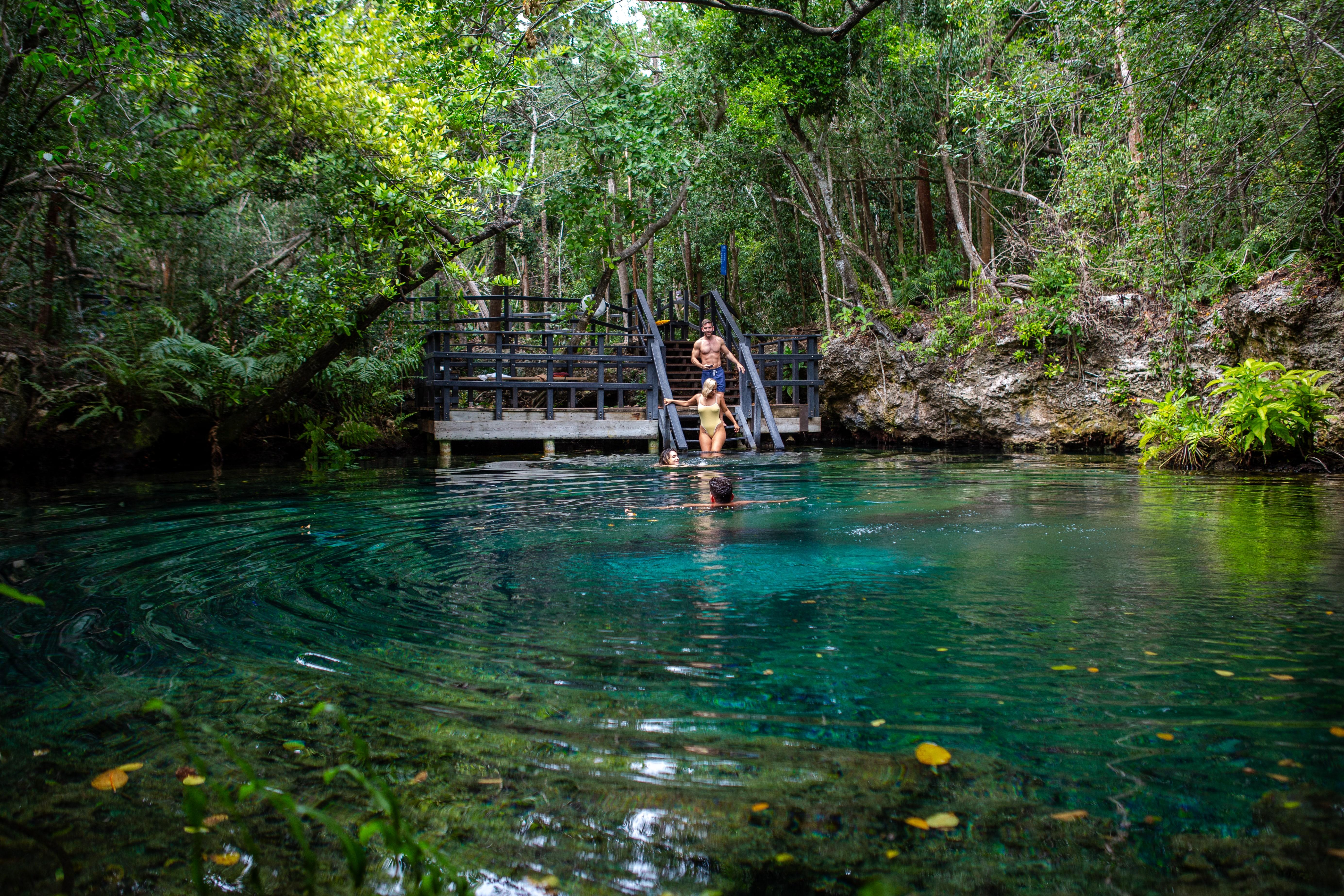Swim in the Cenotes Ojos Indígenas – Punta Cana, Dominican Republic