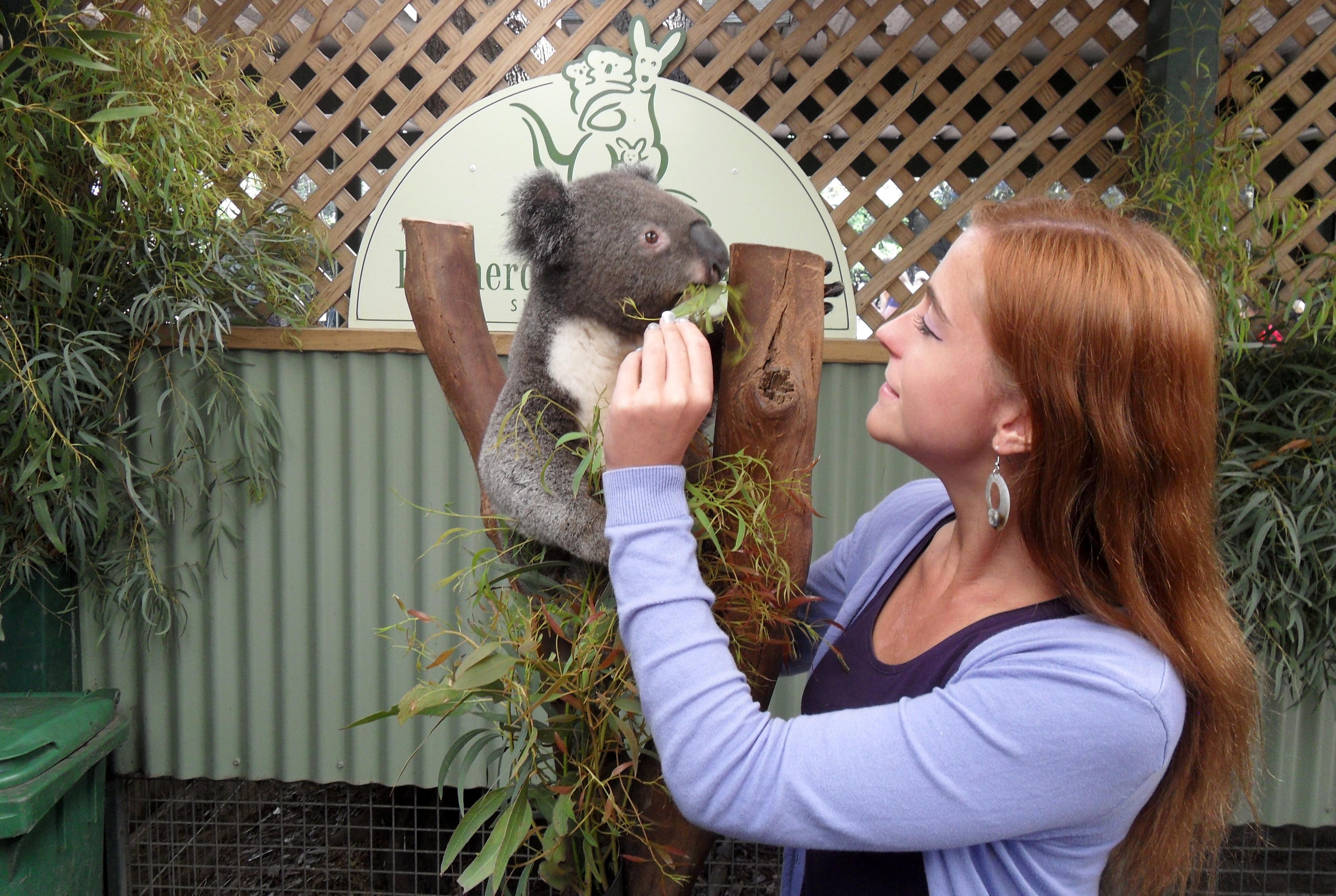 Sydney: Featherdale Wildlife Park Private Tour – Sydney, Australia