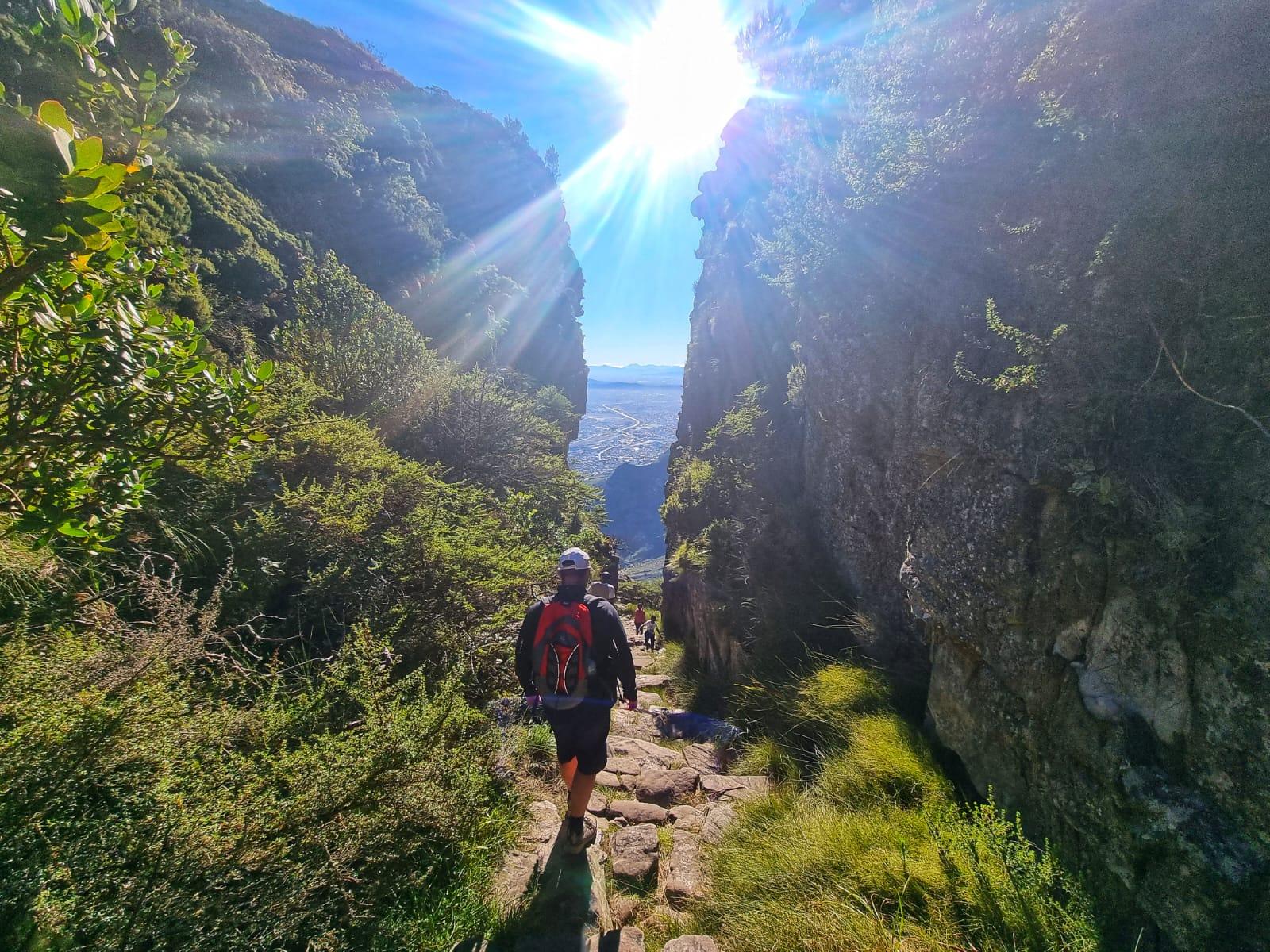 Table Mountain Group Hike – Solo Travelers welcome – Cape Town, South Africa