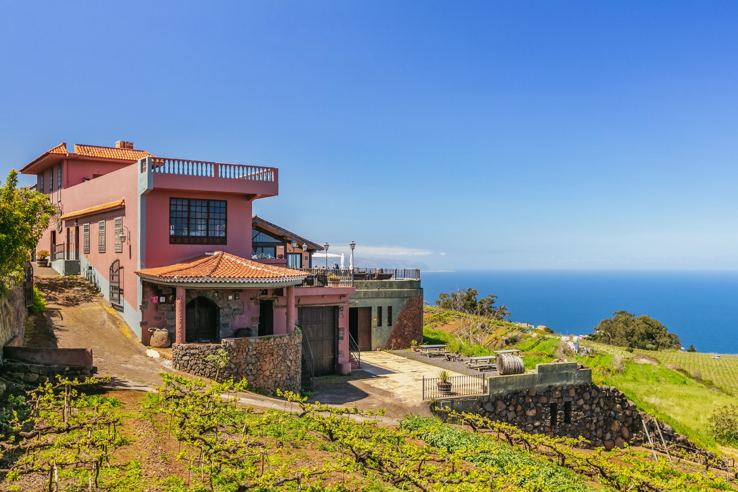 Tacoronte: Guided Winery Tour with Wine and Cheese Tastings – Canary Islands, Spain
