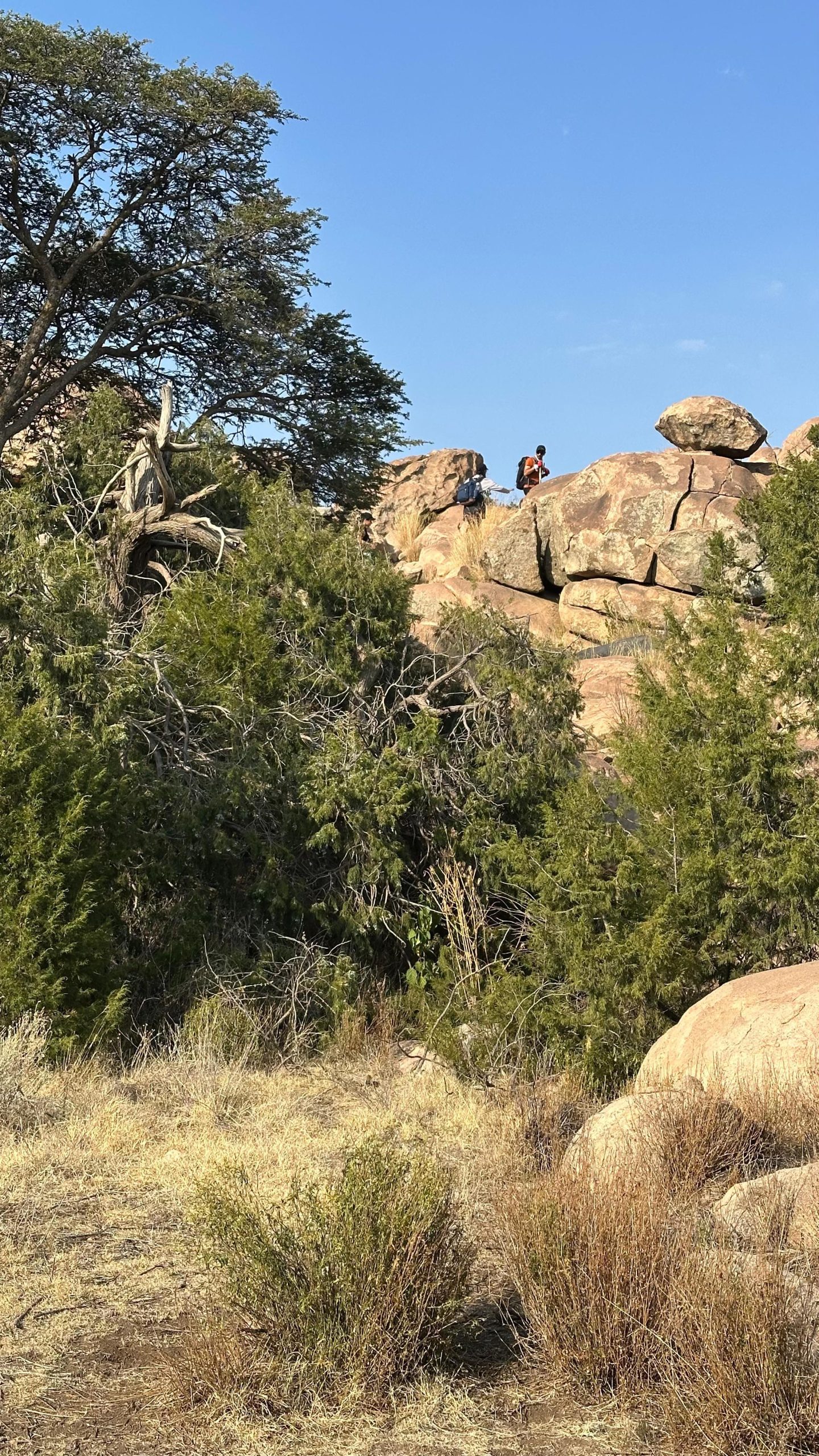 Taif: Al-Shafa Mountains Hike with Sunset & Dinner – Saudi Arabia