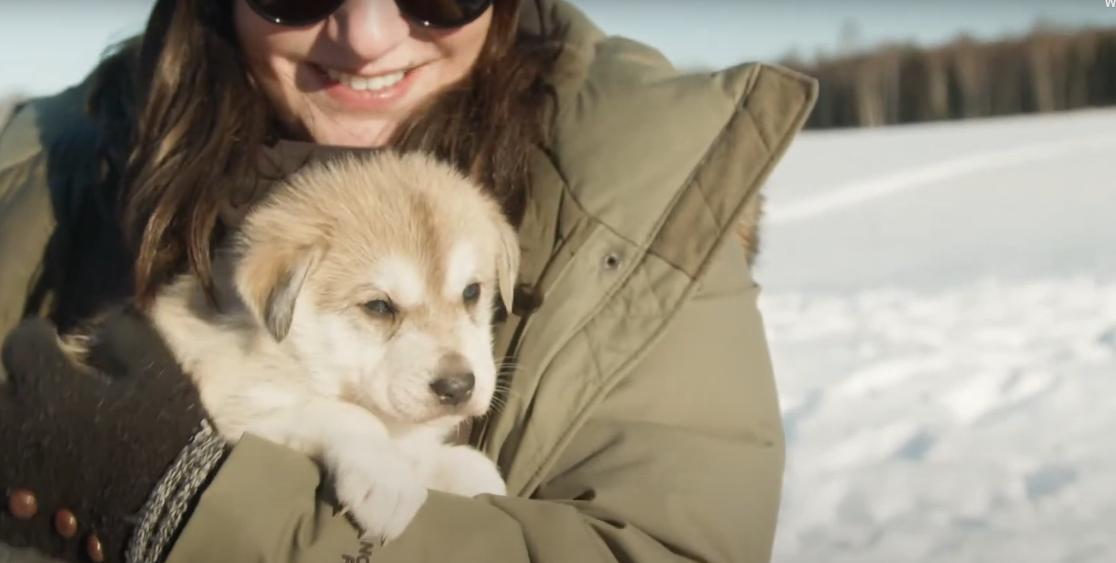Talkeetna: Alaskan Winter Dog Sledding Experience – Talkeetna, Alaska