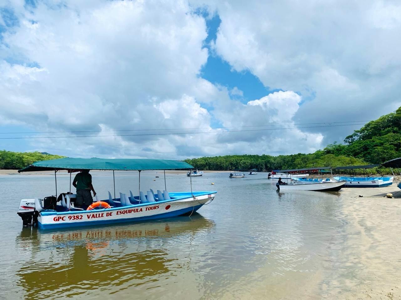 Tamarindo Estuary: Explore by Boat or Kayak – Choose your tour! – Santa Cruz, Costa Rica