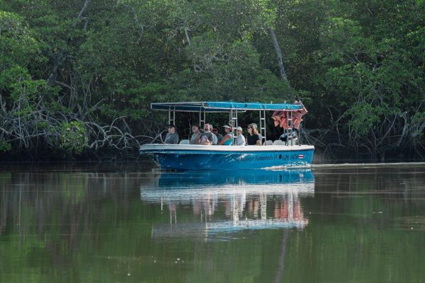 Tamarindo: Las Baulas Marine Park, Mangroves, and Nature Boat Tour – Santa Cruz, Costa Rica