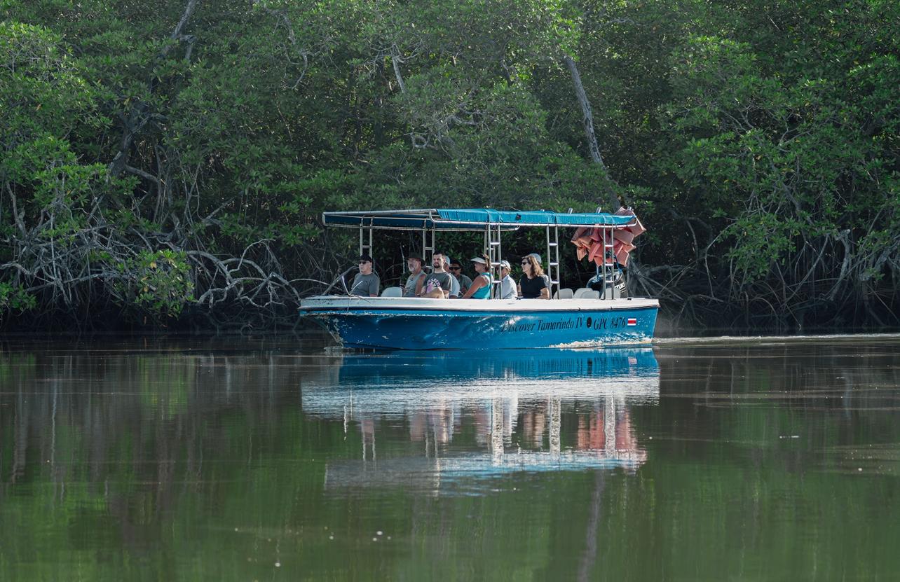 Tamarindo: Las Baulas Marine Park, Mangroves, and Nature Boat Tour – Santa Cruz, Costa Rica