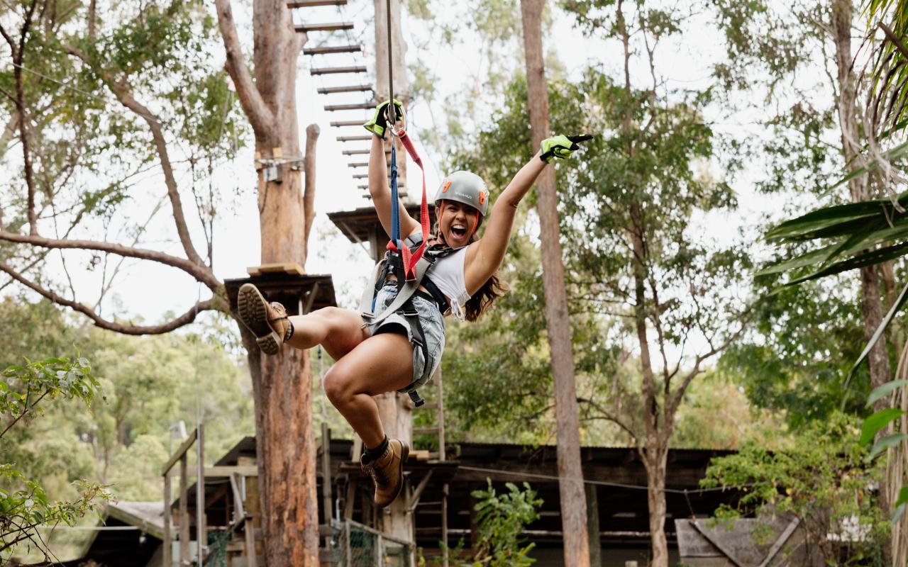 Tamborine Mountain: TreeTop Challenge Adventure Park – Tamborine Mountain, Australia