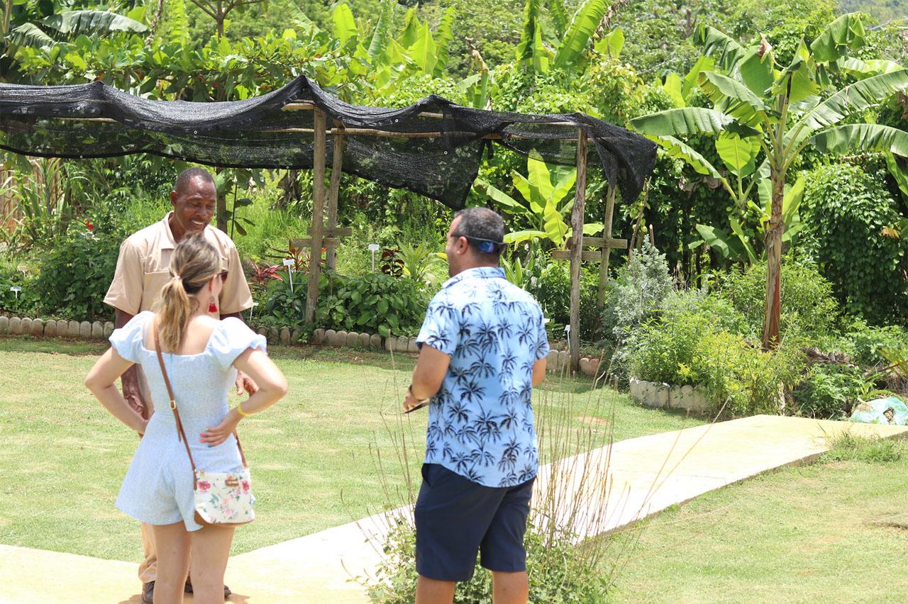 Taste of Jamaica Farm & Food Tour – Ocho Rios, Jamaica