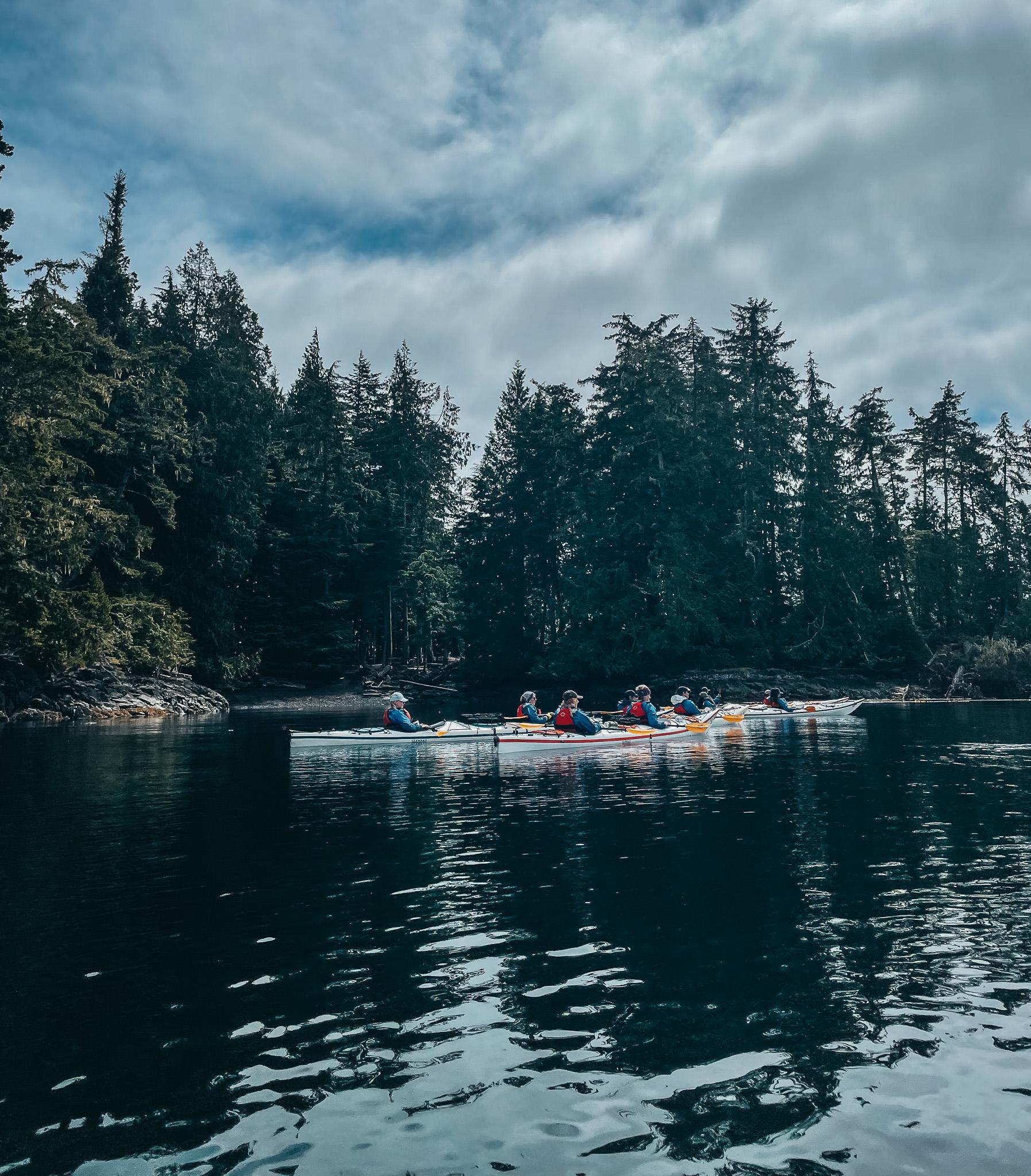 Telegraph Cove: Half-Day Kayaking Tour – Johnstone Strait, Canada