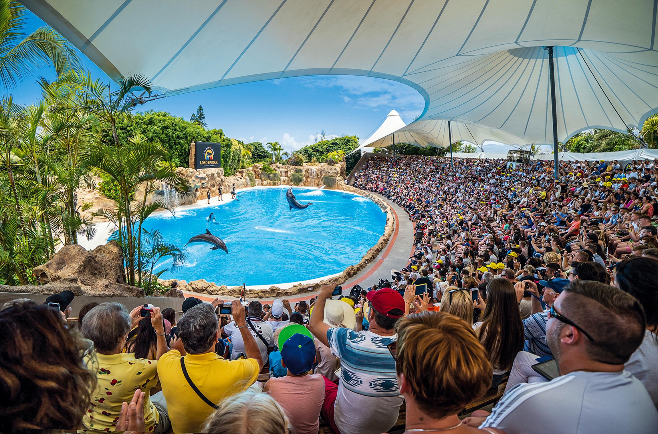 Tenerife: Loro Parque Entry Ticket – Puerto de la Cruz, Spain
