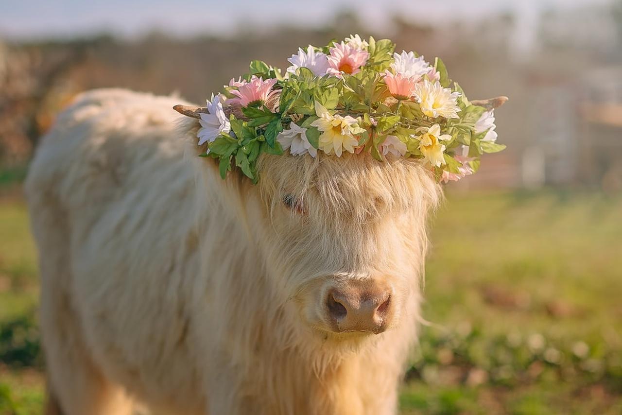 Tennessee: Cedar Pond Farms Floral Jewelry Workshop – New Market, Tennessee