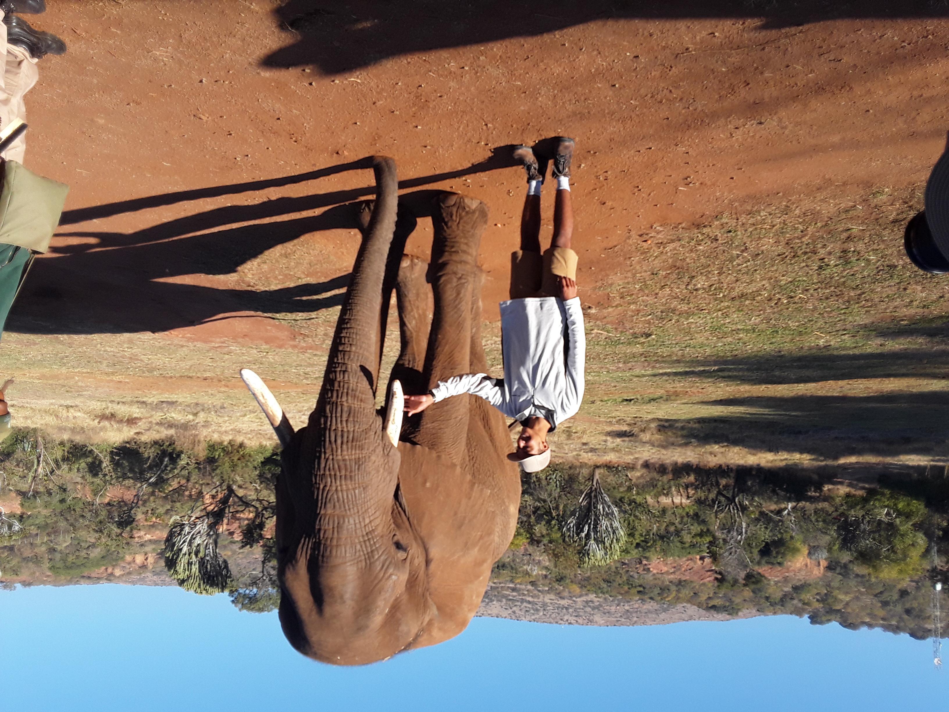 The Elephant and Monkey Sanctuary. – Hartbeespoort, South Africa