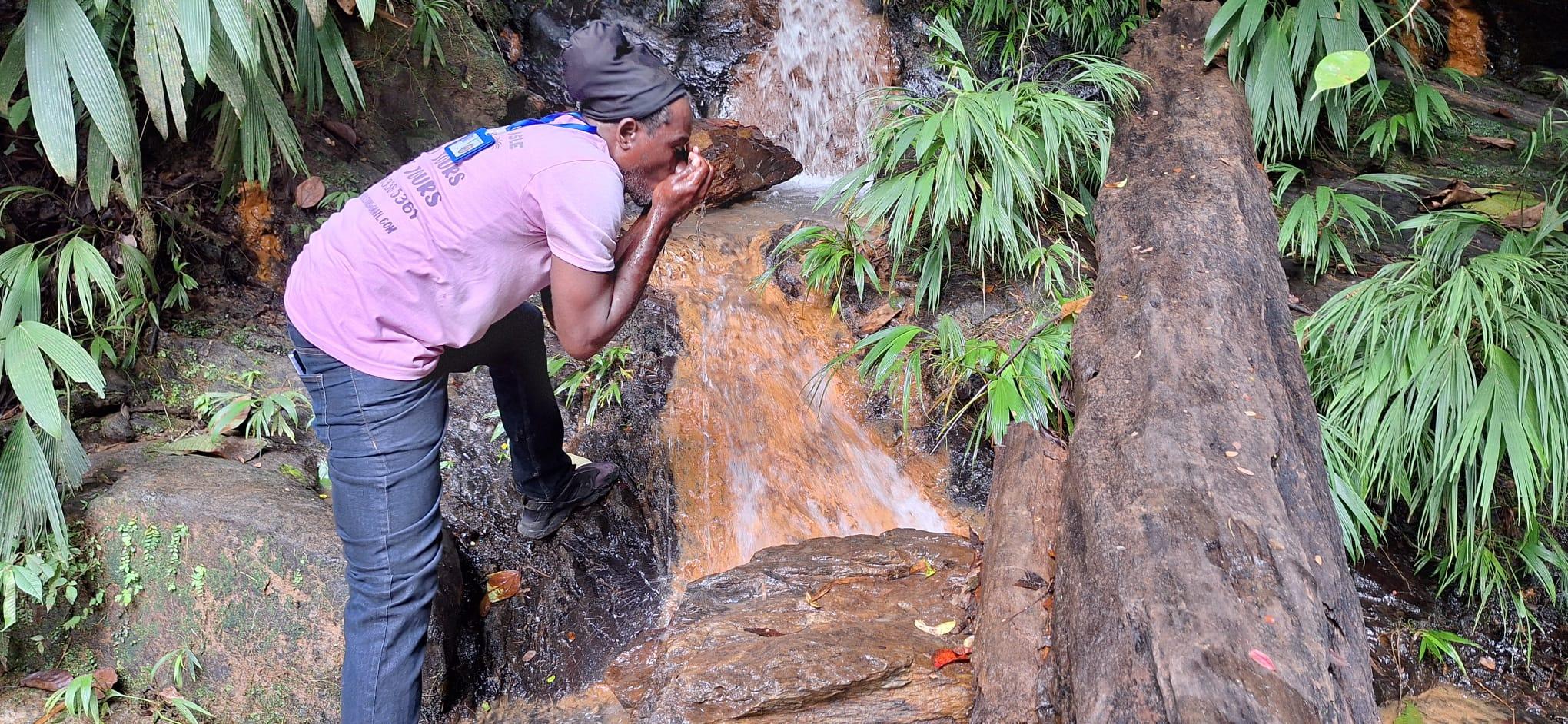 The Tobago Rainforest Tour – Trinidad and Tobago