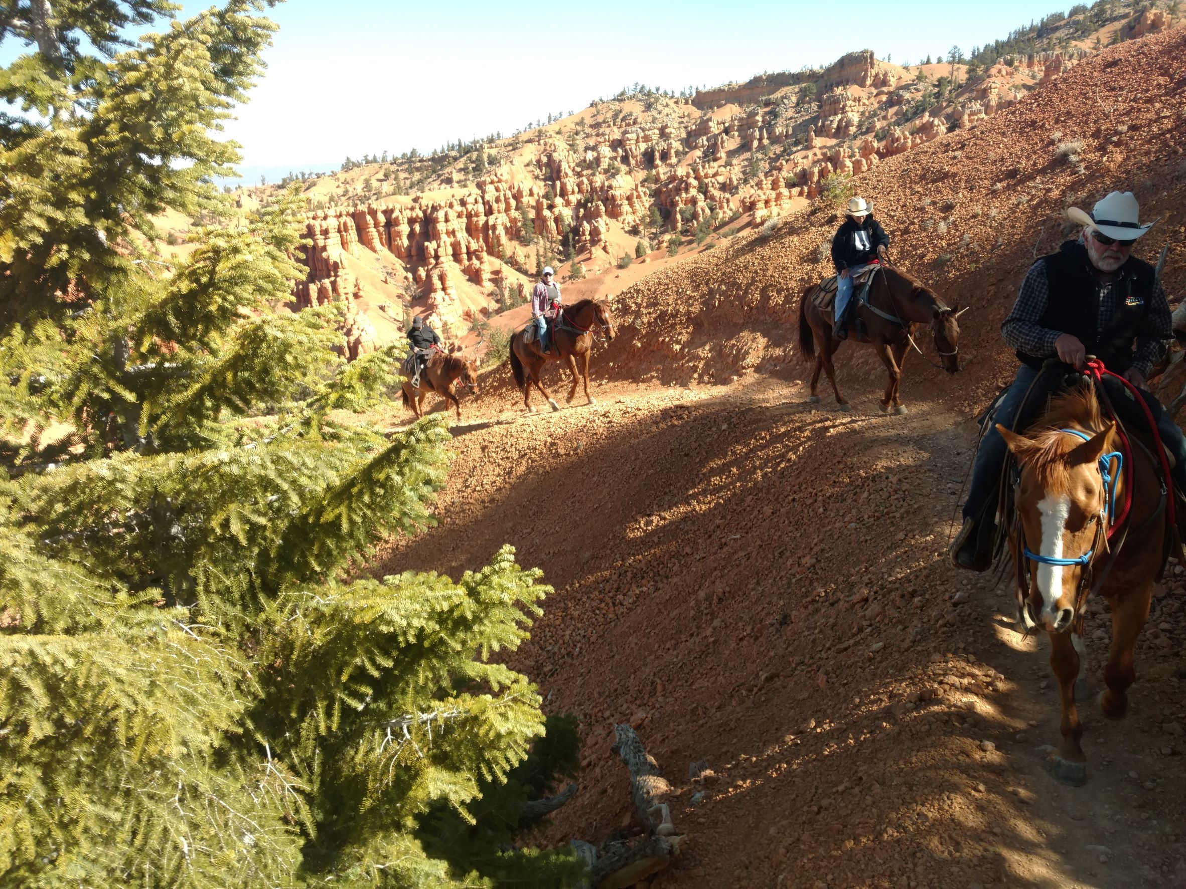 Thunder Mountain Trail: Scenic Horseback Ride – Thunder Mountain Trail, Utah
