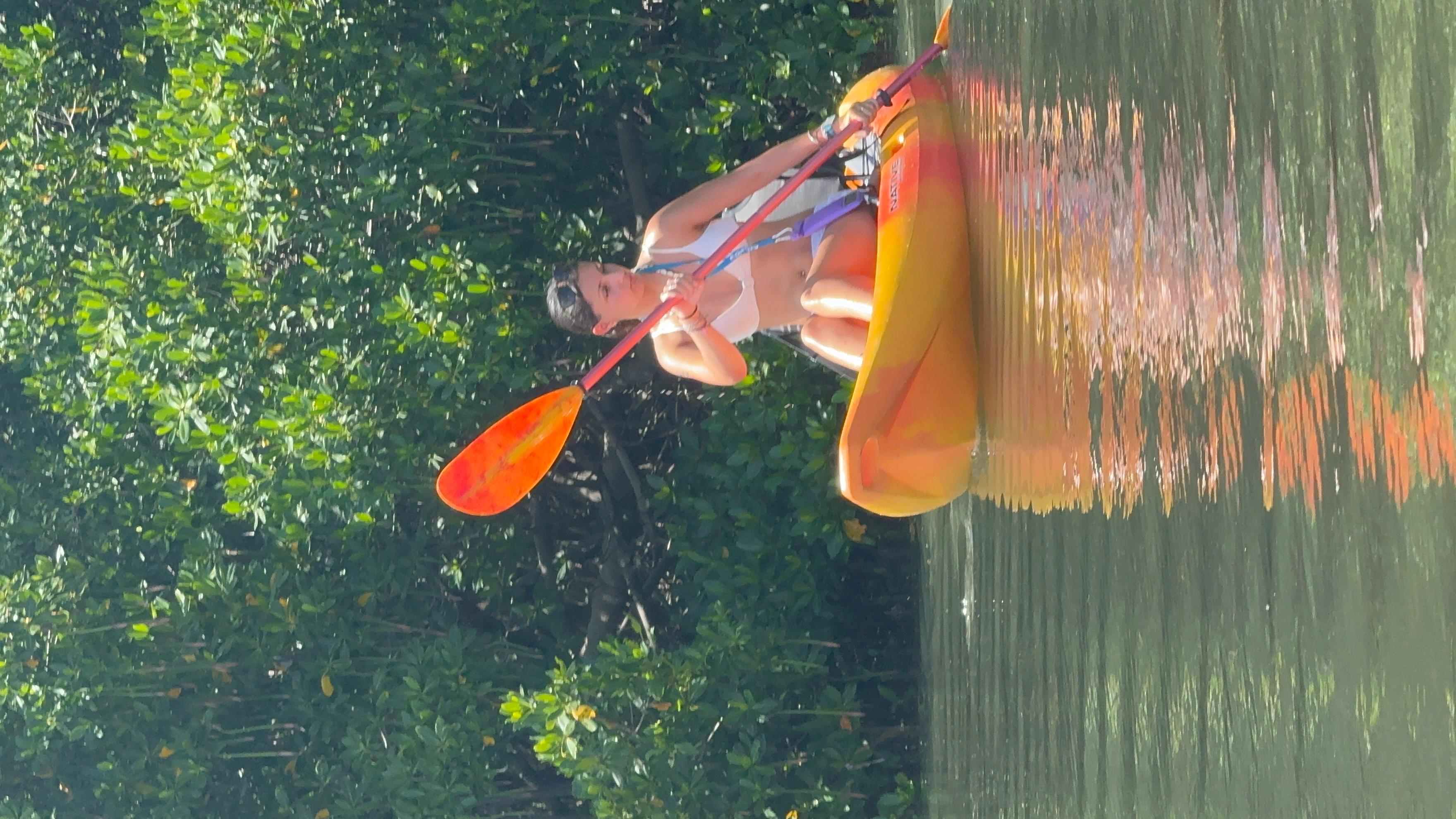 Tierra Verde: Shell Key Mangrove Private Guided 1.5 hr Tour – Gulf of America