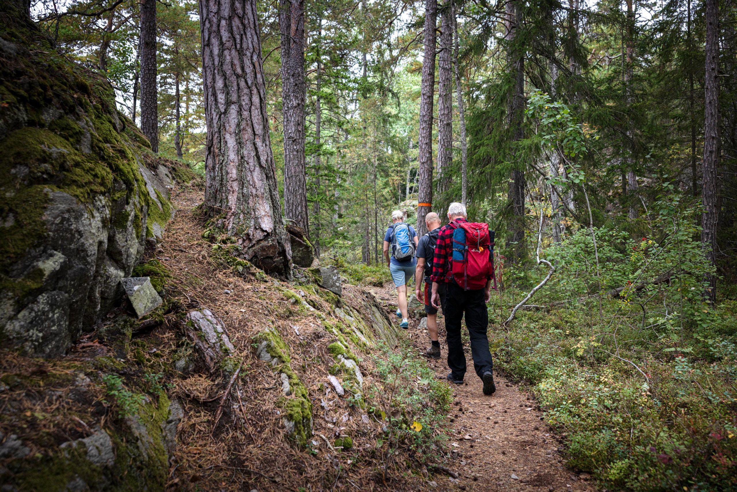 Tiveden National Park: Morning Tour with Breakfast – Skövde, Sweden