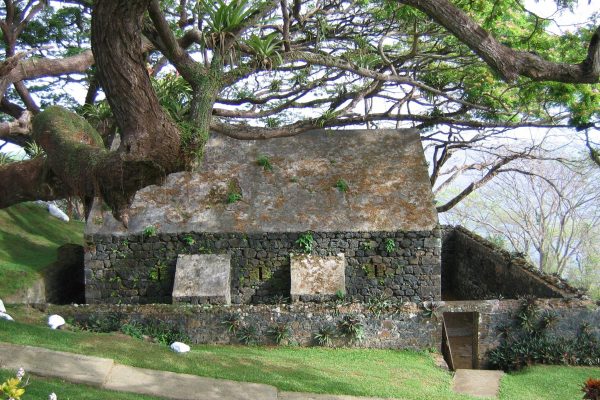 Tobago: Half-Day Highlights Tour – Trinidad and Tobago