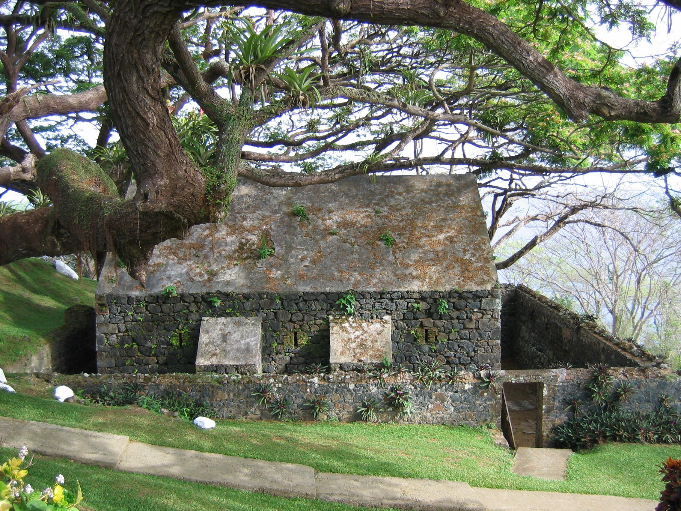 Tobago: Half-Day Highlights Tour – Trinidad and Tobago