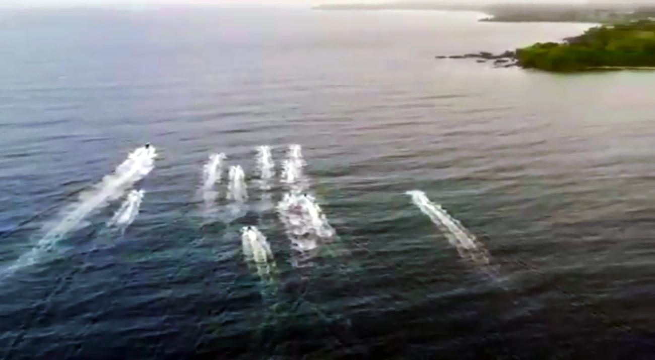 Tobago: Jet Ski Safari to Castara Bay with Local Guide – Trinidad and Tobago