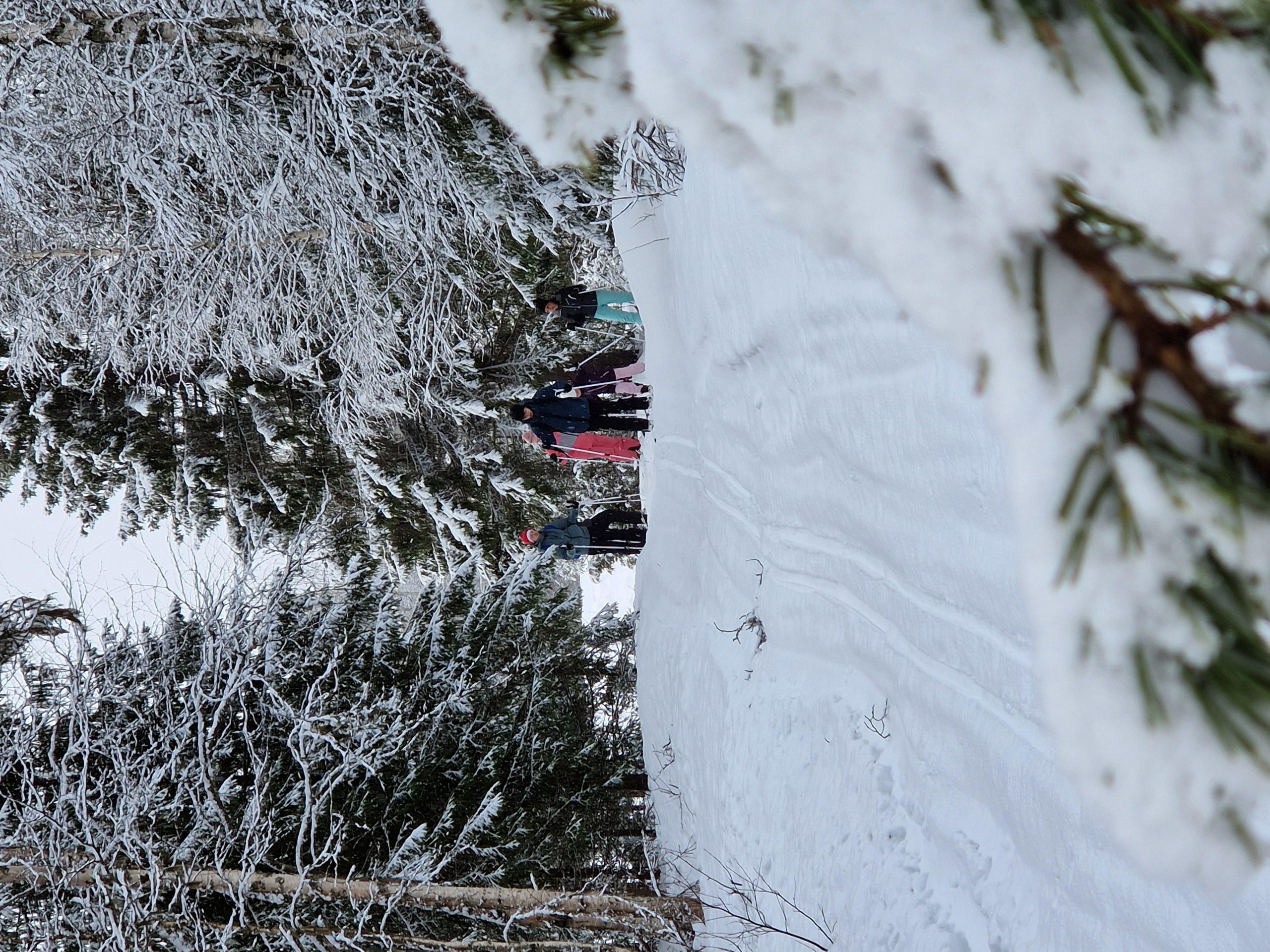 Tornedalen: Ski Touring – ski across countries and time – Hedenaset, Sweden