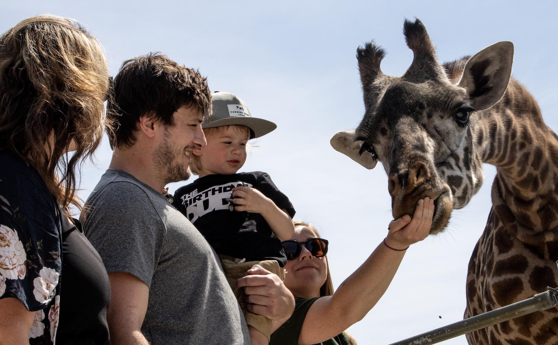 Toronto: Toronto Zoo Entry Ticket – Toronto, Canada