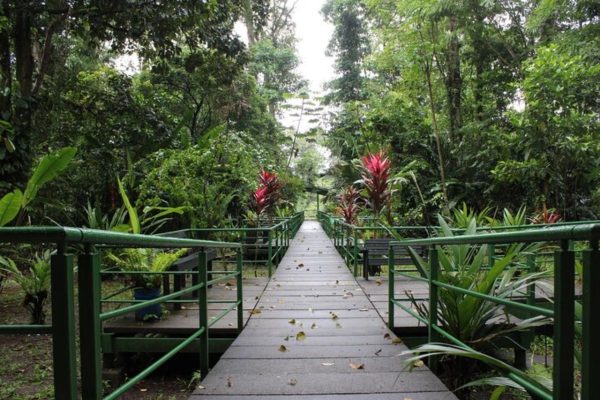 Tortuguero: Hike the Cerro Tortuguero Trail – Tortuguero National Park, Costa Rica