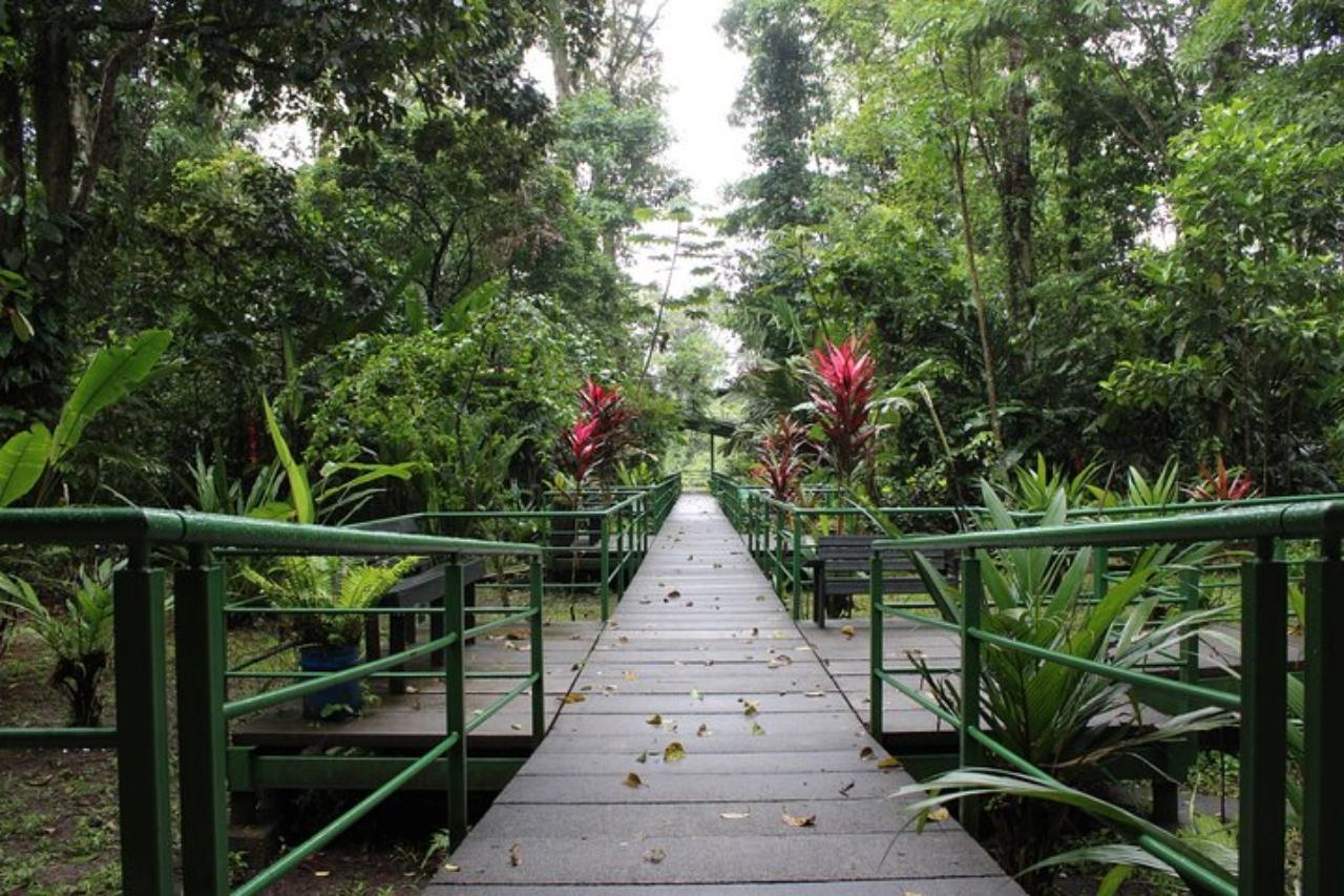Tortuguero: Hike the Cerro Tortuguero Trail – Tortuguero National Park, Costa Rica