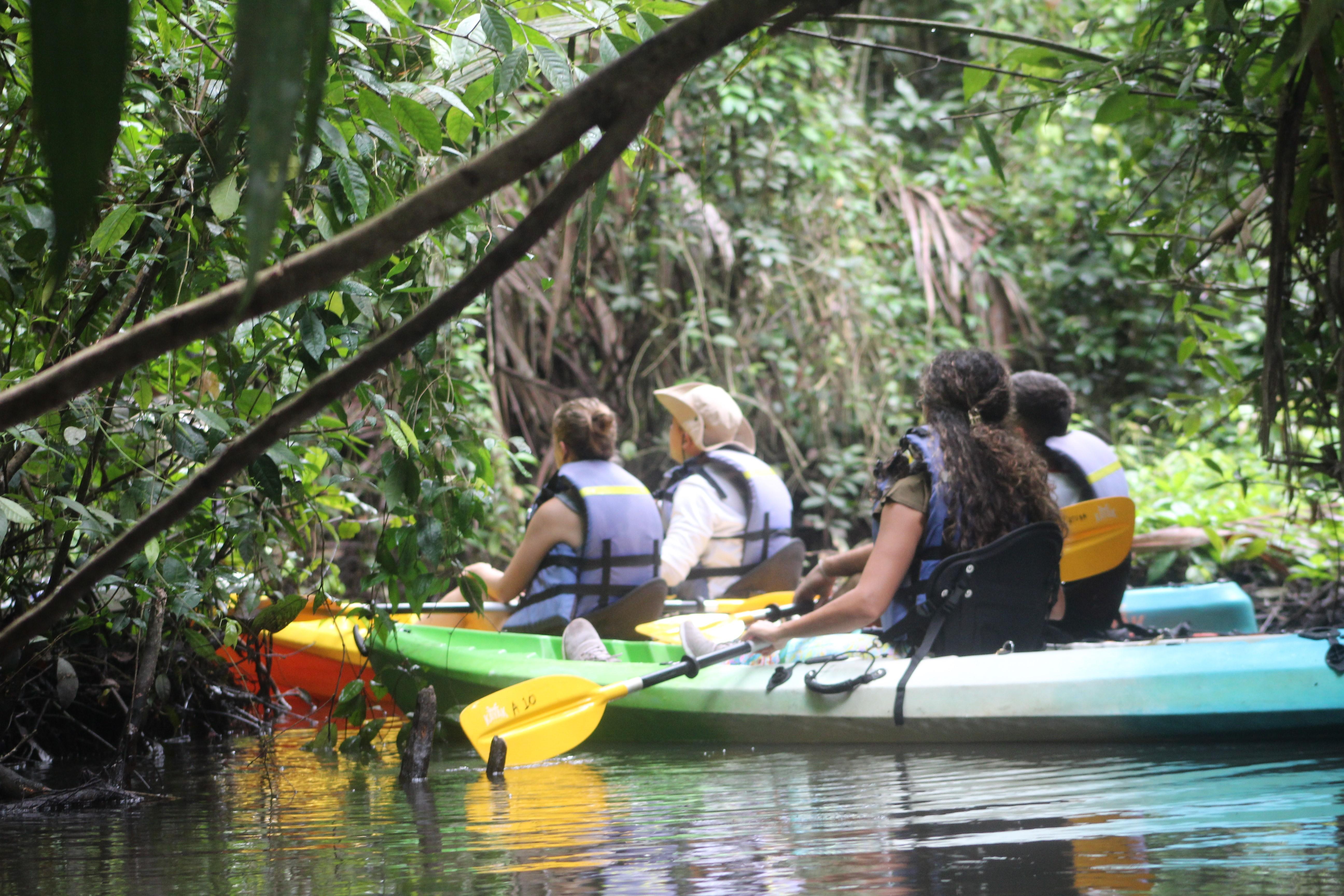 Tortuguero: KAYAK Tour in the Canals. An Unparalleled Experience – Tortuguero National Park, Costa Rica