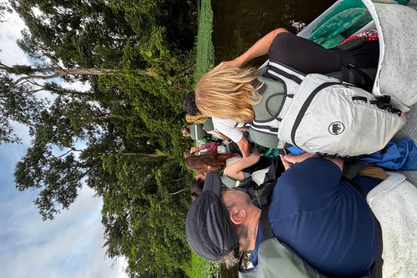 Tortuguero Mystical Silent Wildlife Canoe Tour – Tortuguero National Park, Costa Rica