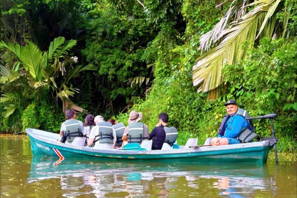 Tortuguero Trilogy: Wildlife, Meals, Guide & Park Entry – Tortuguero National Park, Costa Rica