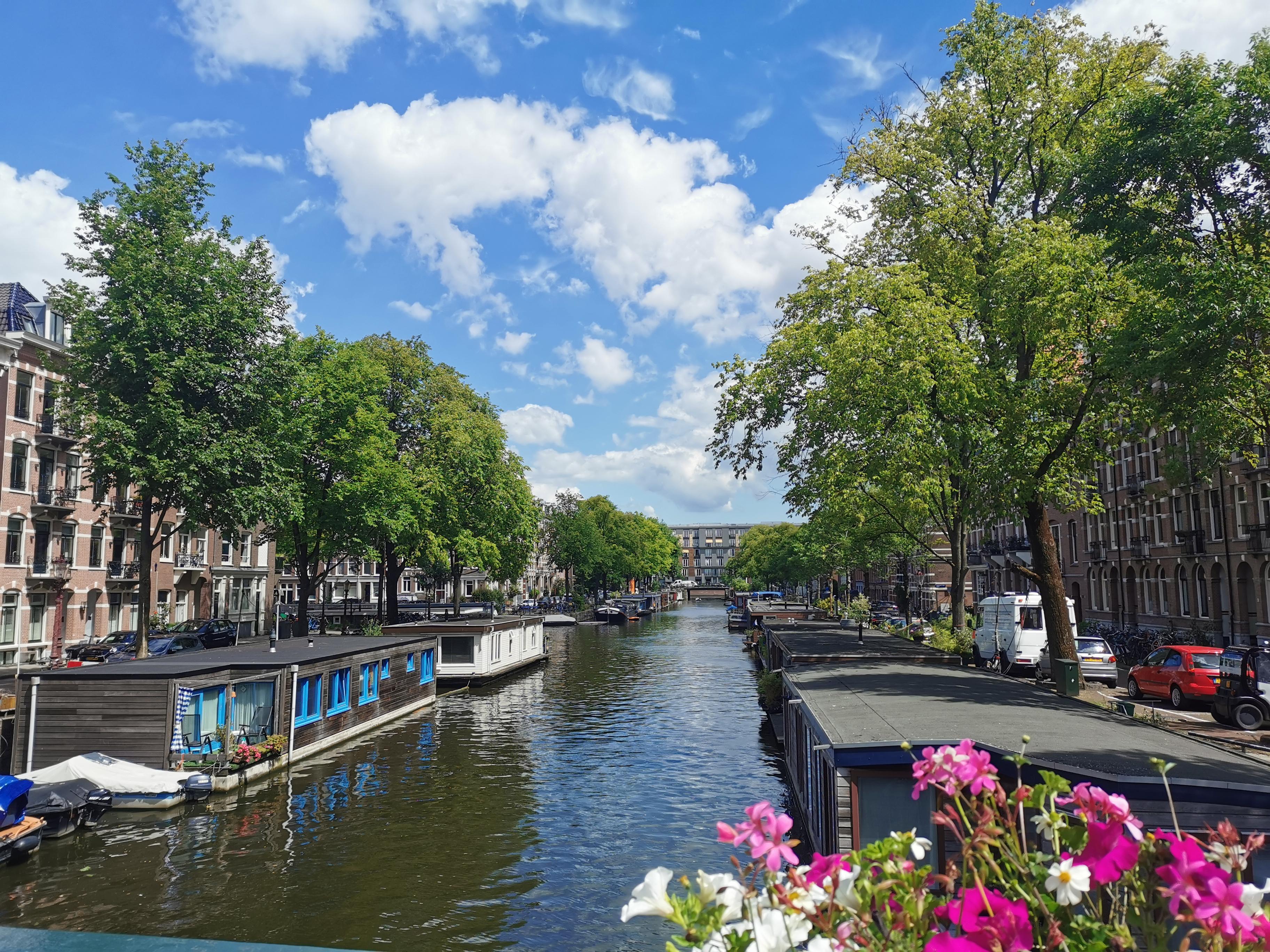 Tour Amsterdam: Old Town, Jewish Quarter and Flower Market – Amsterdam, Netherlands
