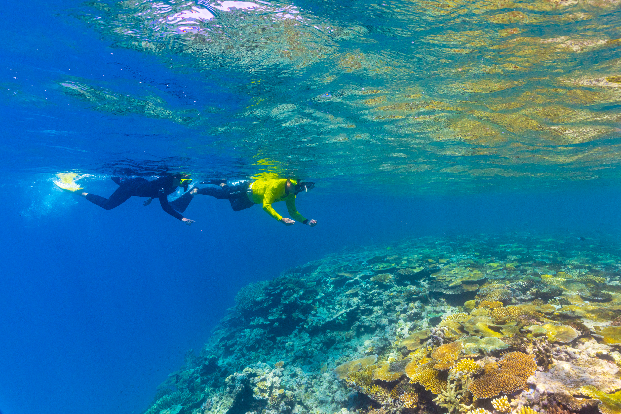 Townsville & Magnetic Island: MOUA & Reef Snorkel Experience – Townsville, Australia