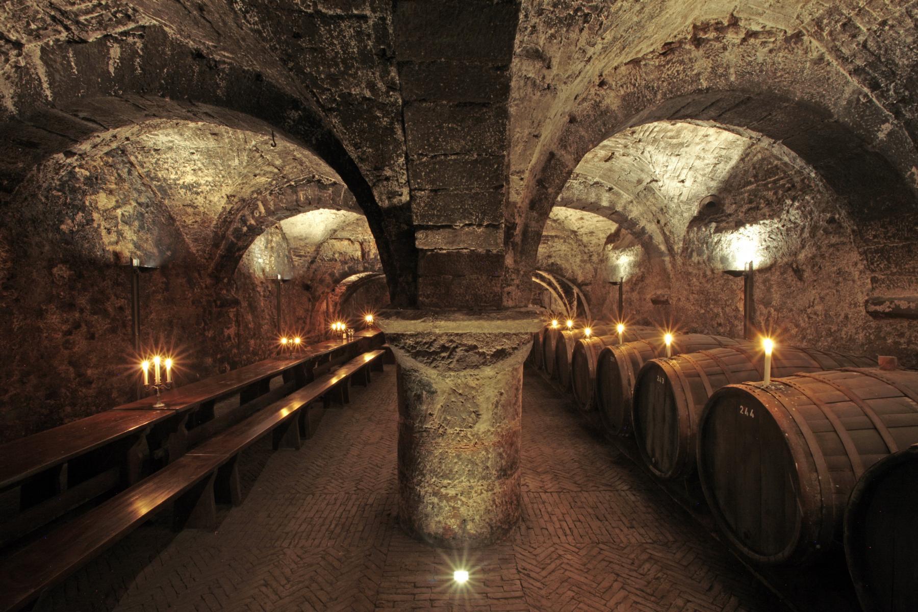 Trier: Discovery Tour – Germany’s Oldest Wine Cellar – Trier, Germany