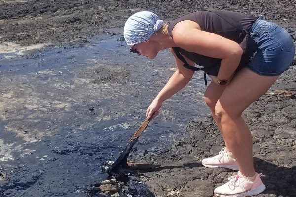 Trinidad: Pitch Lake & Cultural Wonders – Trinidad and Tobago