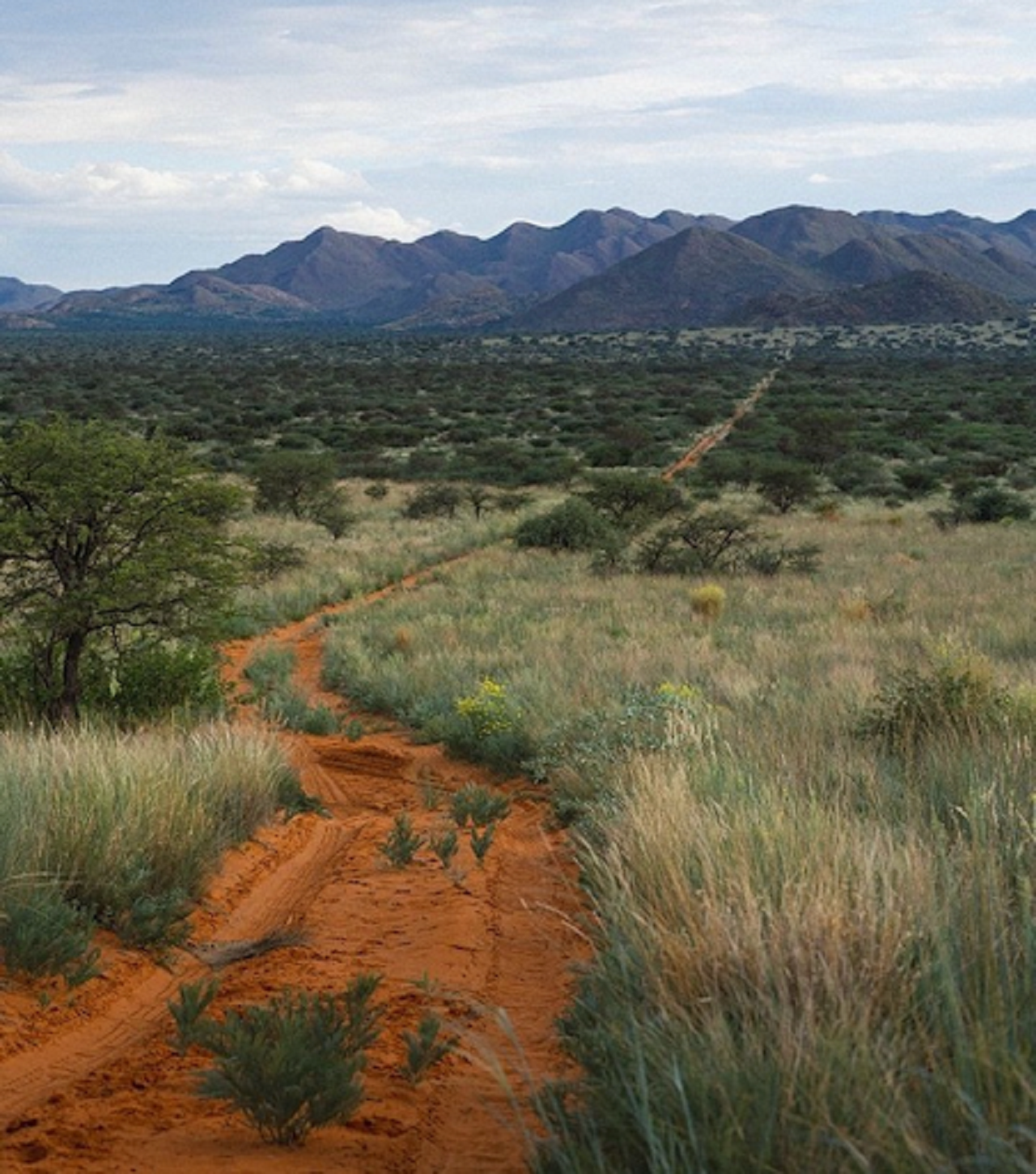 Tswalu Kalahari Game Reserve: Premium Horseback Riding Tour – Kuruman, South Africa
