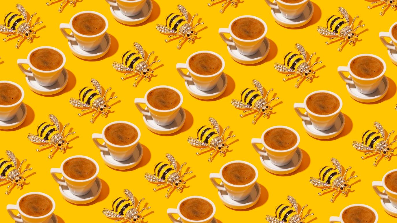 Turkish Coffee Fortune Ceremony – New York City, New York