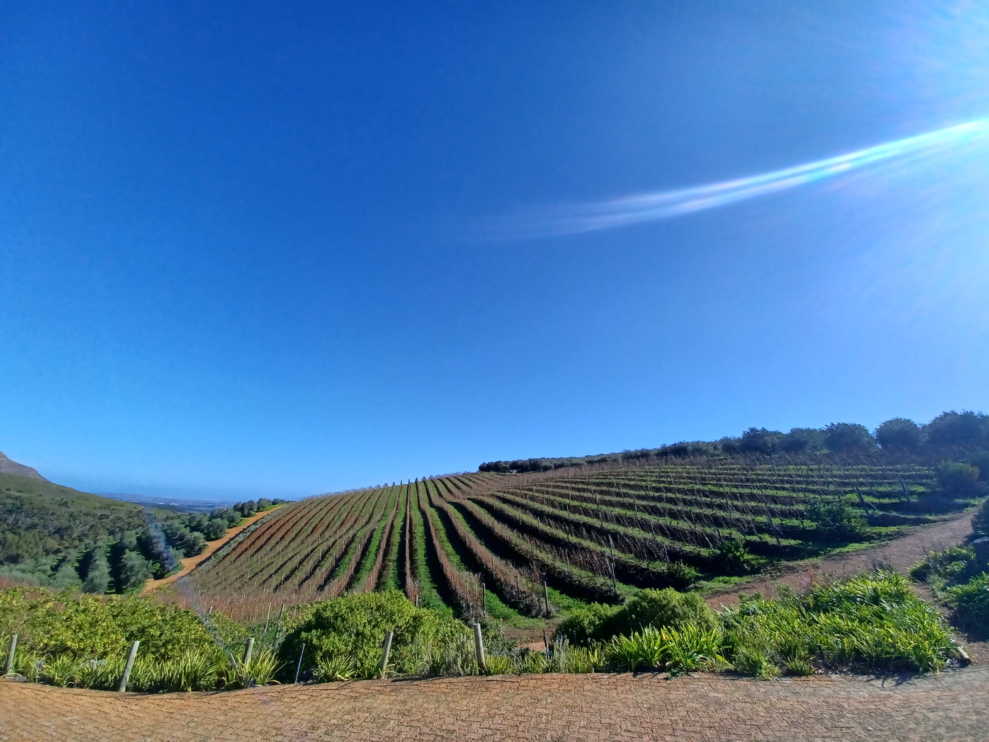 UNCORK THE CAPE : Stellenbosch Halfday wine tour – Paarl, South Africa