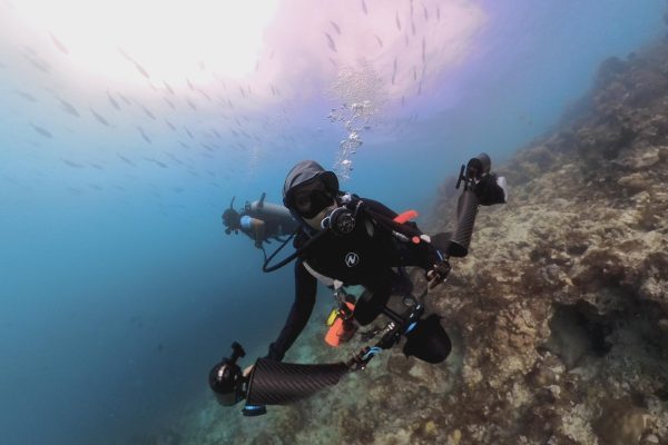 Underwater Photography Course – Maldives