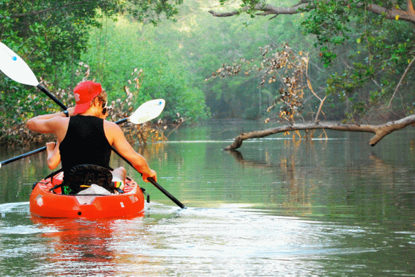 Uvita – Dominical: Private Kayak Tour – Mangroves of Terraba – Uvita, Costa Rica