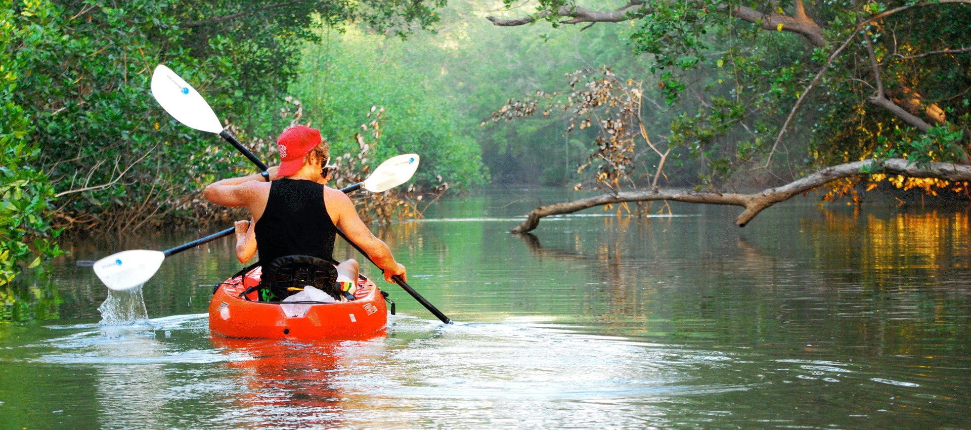 Uvita – Dominical: Private Kayak Tour – Mangroves of Terraba – Uvita, Costa Rica
