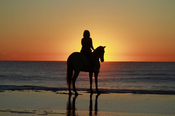 Uvita: Horseback Riding Costa Rica – Uvita, Costa Rica