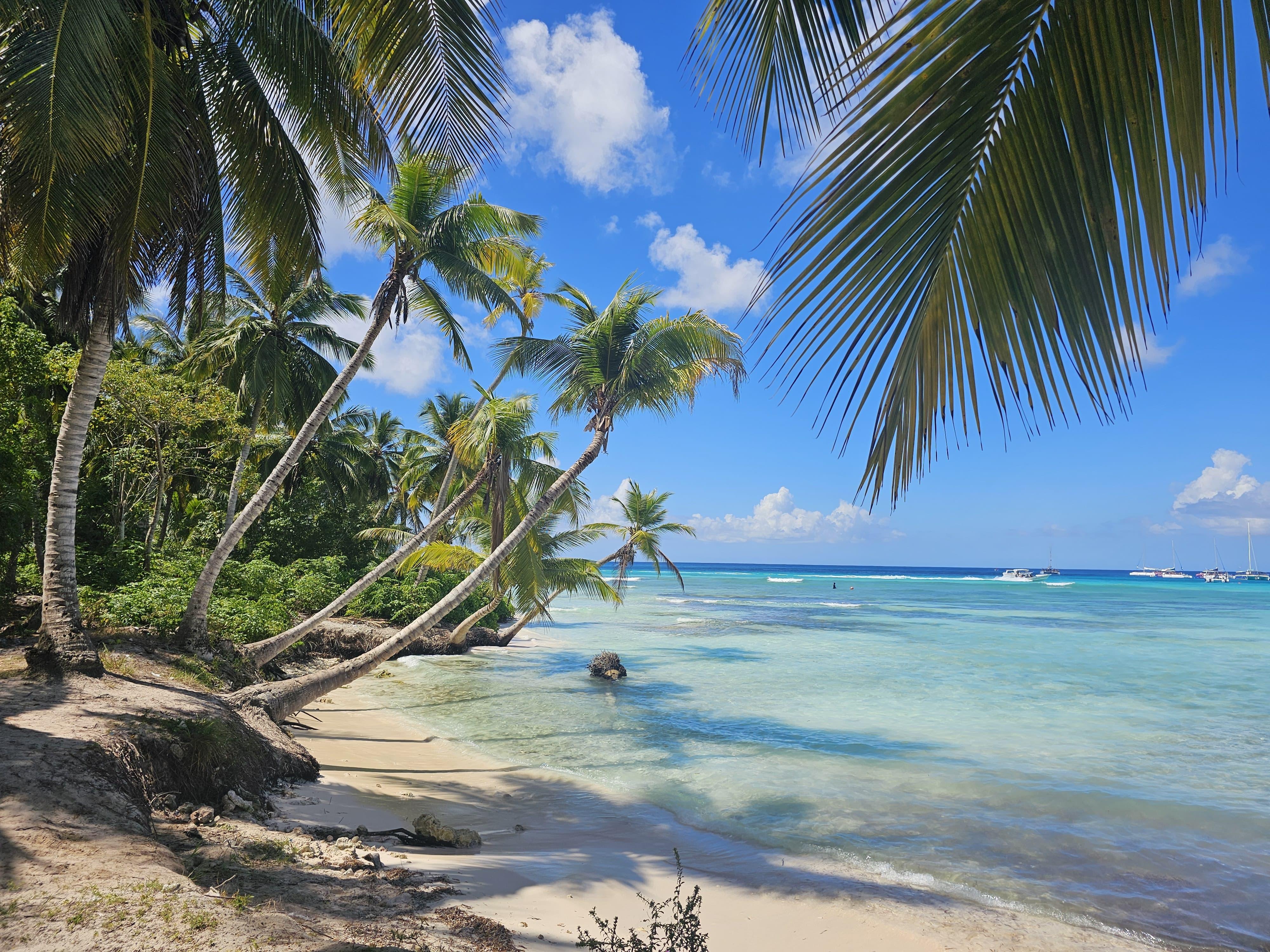 VIP tour to Saona Island by speedboat with a visit to paradise beaches – Higuey, Dominican Republic