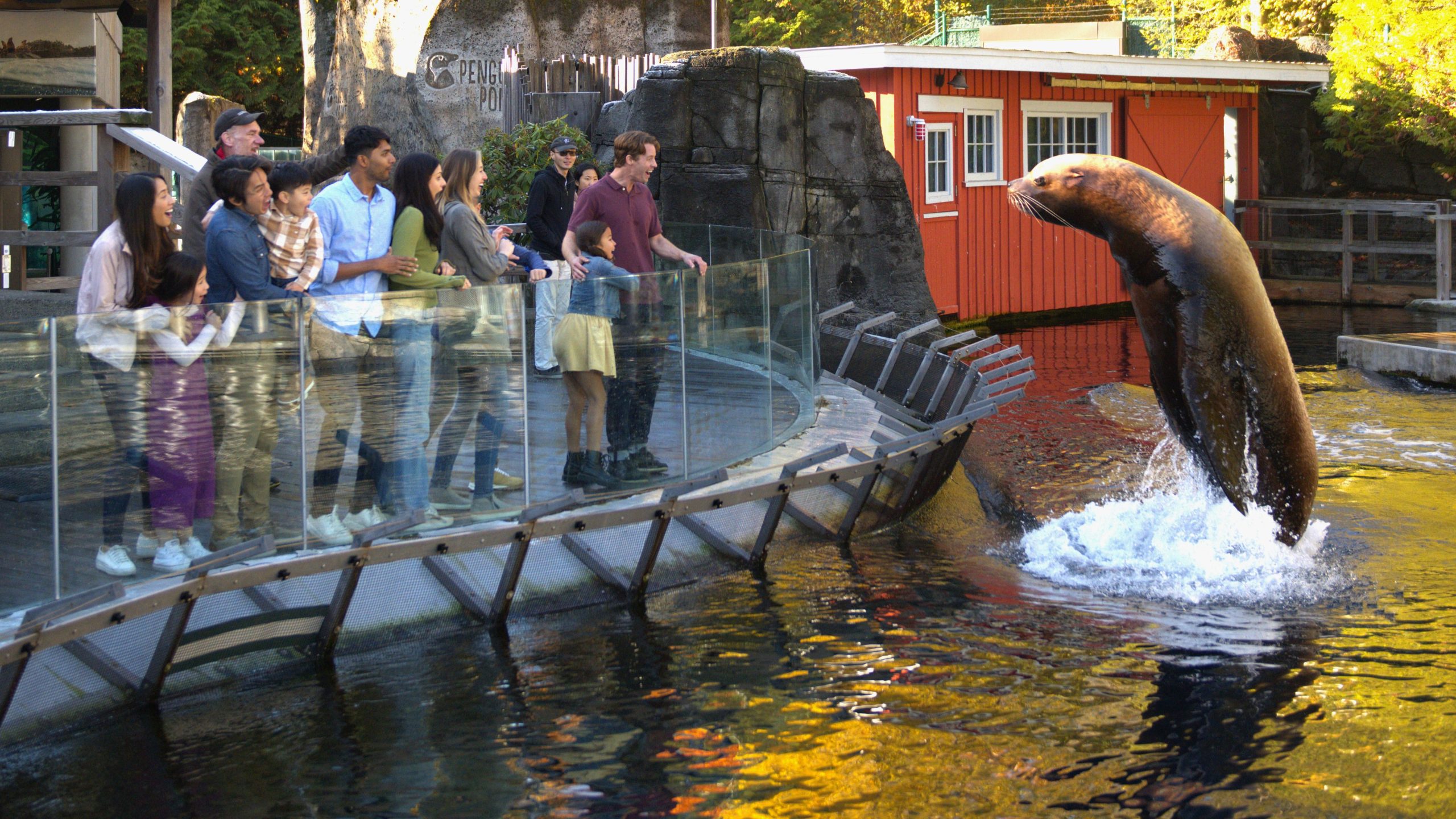 Vancouver Aquarium: Skip-the-Line Ticket – Vancouver, Canada