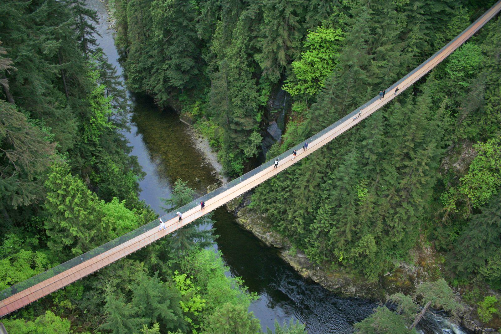 Vancouver: Capilano Bridge, Grouse Mountain & Aquabus Tour – Vancouver, Canada