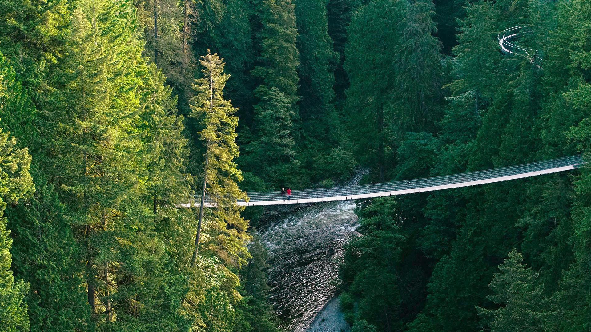 Vancouver: Capilano Suspension Bridge Park Ticket – North Vancouver, Canada